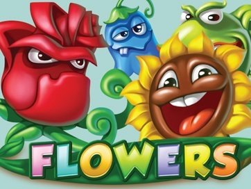 Flowers Christmas
